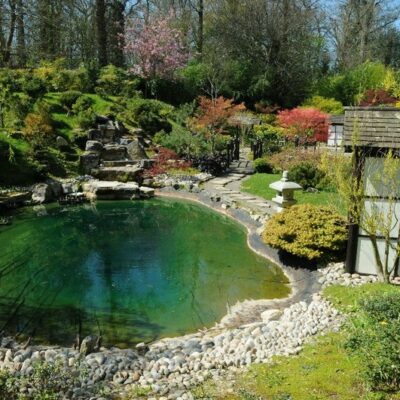 Japanese Tea Garden with a pond, house and plants