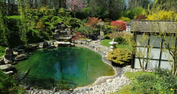 event image for Dewey Ground: Tea and The Japanese Garden