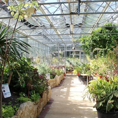 Bristol Botanic Gardens greenhouse