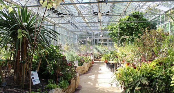 event image for FRIENDS ONLY: Bristol Botanic Gardens Guided Tour